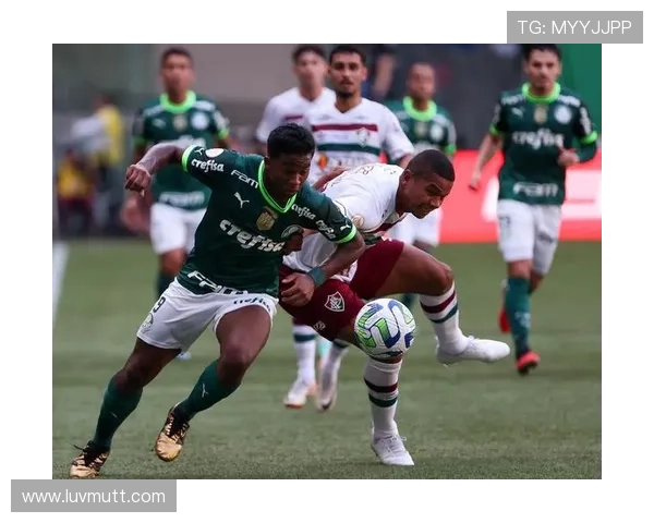 恩德里克在巴甲赛季中的表现稳健，未来之星发展备受关注