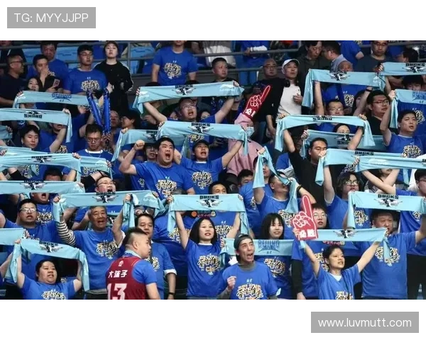 北京国安国安战歌 北京国安国安战歌