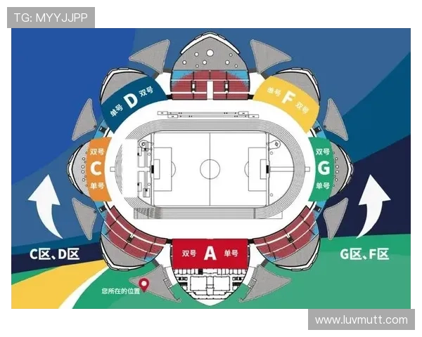 足球杯赛直播：近期赛事安排与观赛指南