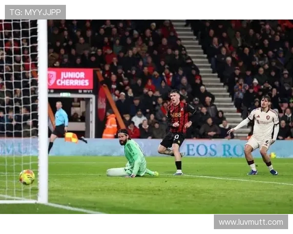 阿利松:从巴西国际青训到利物浦门神的生涯跃迁解析 阿利松:从巴西国际青训到利物浦门神的生涯跃迁解析