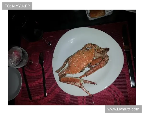 梅根·拉皮诺退役后天天在马尔代夫晒太阳，这谁顶得住啊