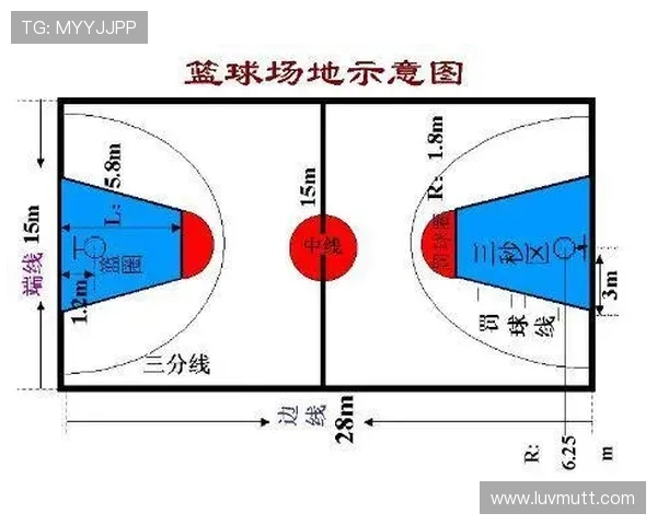 想弄清篮球三秒规则的具体国际差异？这份详细解读带你了解不同赛场下的区别