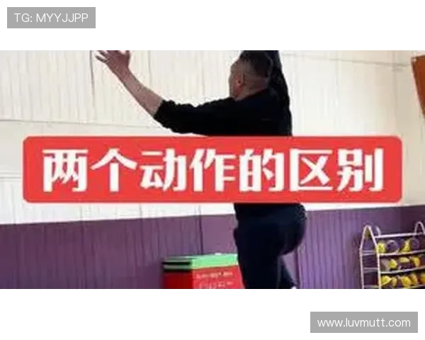 篮球新手必看：彻底搞懂走步违例的判定与实战避免技巧