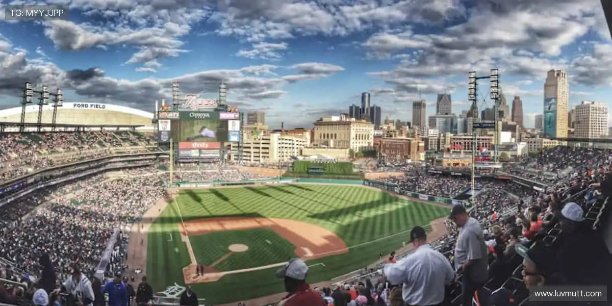 沸腾吧!🏀🏆 体育赛事,点燃你的无限可能!